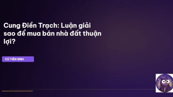 Cung Điền Trạch