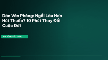 bài tập văn phòng