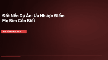 đất nền dự án