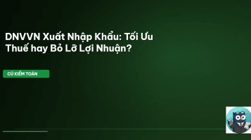 thuế xuất nhập khẩu DNVVN