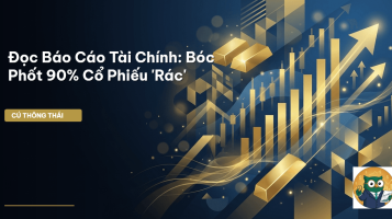 đọc báo cáo tài chính