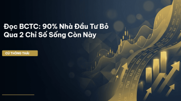 đọc bctc