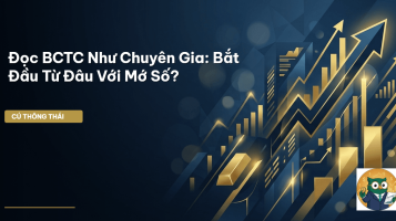 đọc bctc