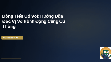dòng tiền cá voi