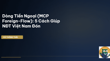 mcp foreign-flow