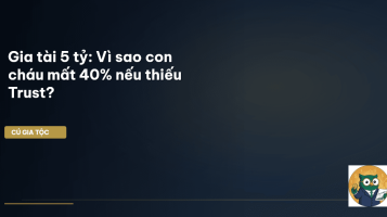 Trust là gì