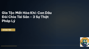 con dâu đòi chia tài sản