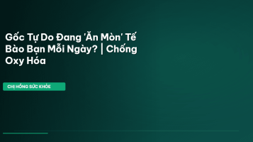 thực phẩm chống oxy hóa