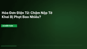 hóa đơn điện tử