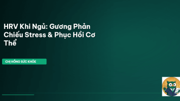 HRV khi ngủ