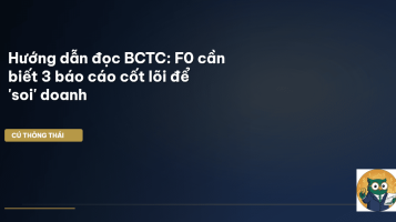 báo cáo tài chính cho F0