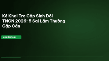 trợ cấp sinh đôi