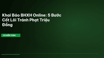 khai báo BHXH online