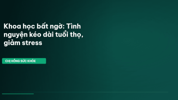 tình nguyện
