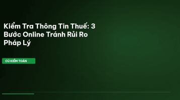 kiểm tra thông tin thuế