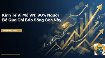 kinh tế vĩ mô vn