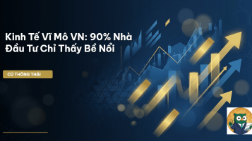 kinh tế vĩ mô vn