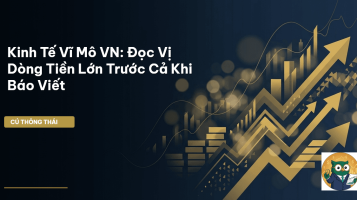 kinh tế vĩ mô vn