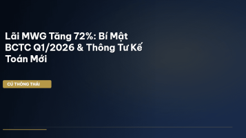 BCTC quý I 2026