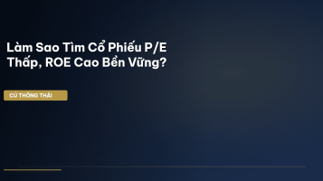 lọc cổ phiếu P/E ROE