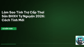 trợ cấp thai sản BHXH tự nguyện