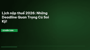 Lịch nộp thuế 2026