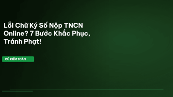 lỗi chữ ký số