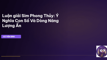 sim phong thủy