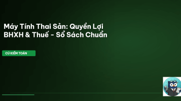 trợ cấp thai sản