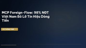 MCP foreign-flow
