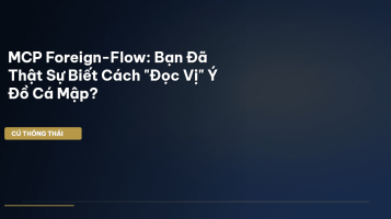 MCP foreign-flow