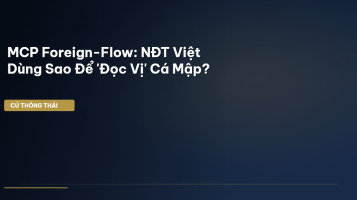 MCP foreign-flow