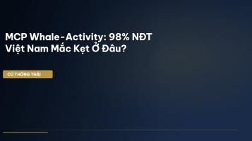 MCP whale-activity