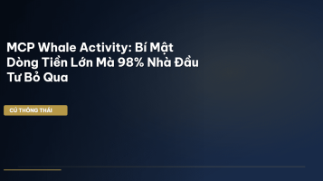 mcp whale activity