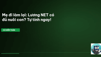 lương net