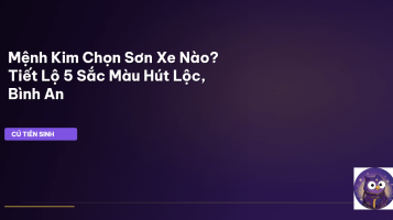 màu sơn xe mệnh kim