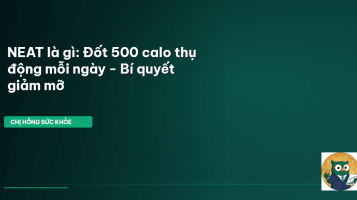 NEAT là gì