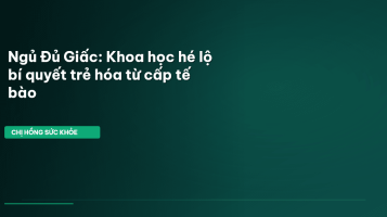 ngủ đủ giấc