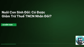 giảm trừ thuế TNCN sinh đôi