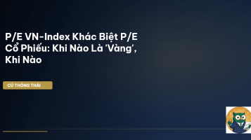 P/E VN-Index