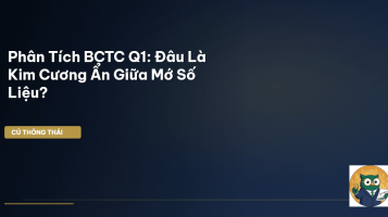 phân tích BCTC Q1