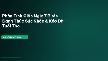 phân tích giấc ngủ