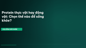 protein thực vật