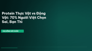 protein thực vật
