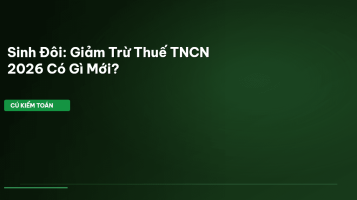sinh đôi giảm trừ thuế TNCN