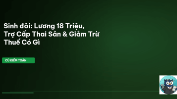 trợ cấp sinh đôi