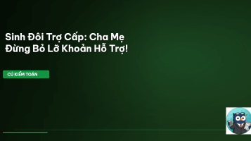 trợ cấp sinh đôi