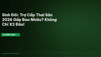 trợ cấp thai sản sinh đôi