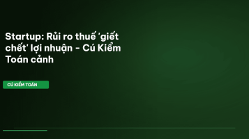 rủi ro thuế startup