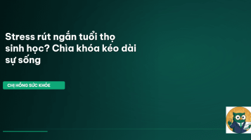 stress và tuổi thọ